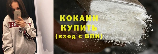 соль ск Алексин