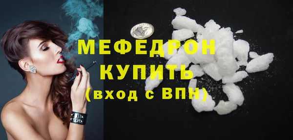 индика Няндома