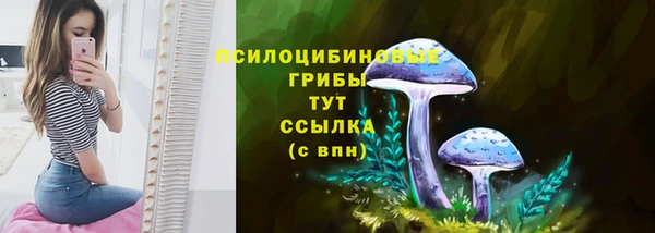 скорость Алексеевка