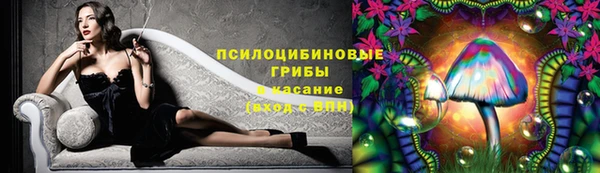 стаф Абдулино