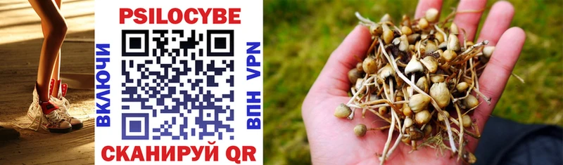 ссылка на мегу ссылки Петров Вал Галлюциногенные грибы MAGIC MUSHROOMS